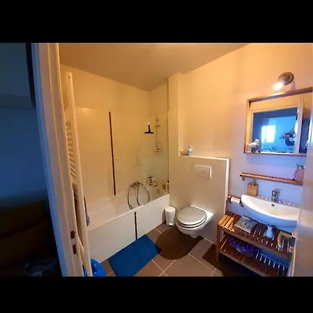 Thonon-allinges Vue Duplex Jardin Parc * Allinges
